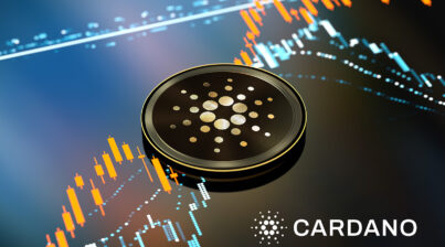 Cardano Value Rockets with Increase